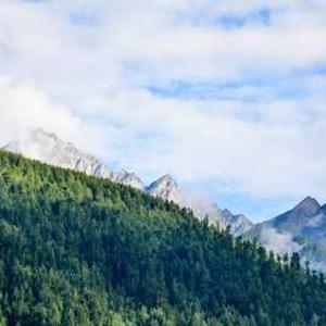 Tazkiyah (Soul Purification) Journey 55