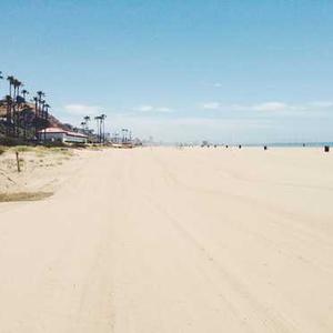 Grief & Trauma Support 43