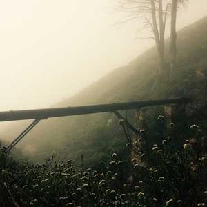 Tazkiyah (Soul Purification) Journey 56