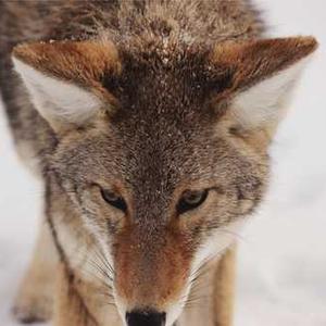 Anxiety & Stress Management 47