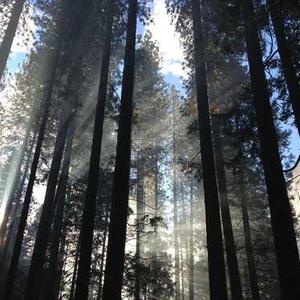 General Marriage Rescue Program 1