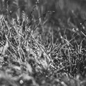 Grief & Trauma Support 22