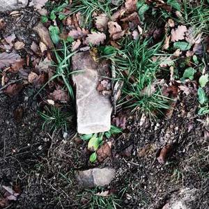 Pre-Marital Counseling Package 23