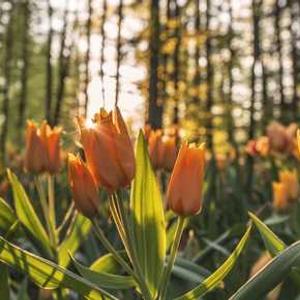 Grief & Trauma Support 16