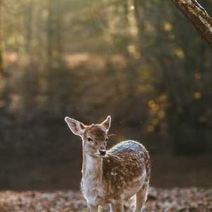 General Fiqh Q&A Session 2