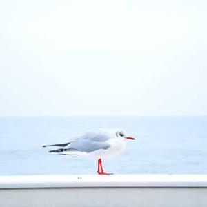 Grief & Trauma Support 80