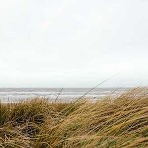 General Anxiety & Stress Management 16