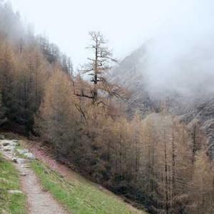 Tazkiyah (Soul Purification) Journey 44